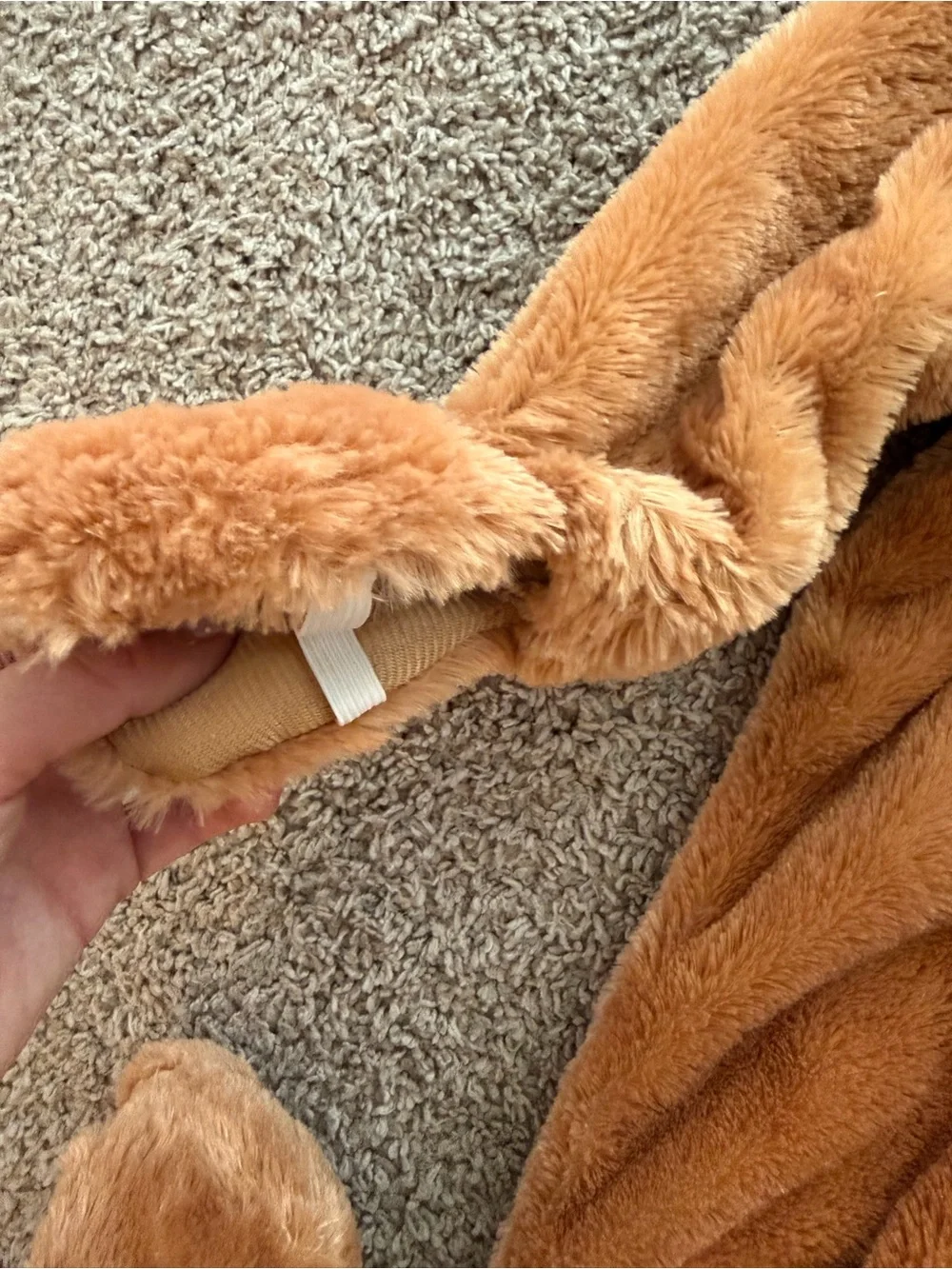 Cozy Lion Costume 3T
